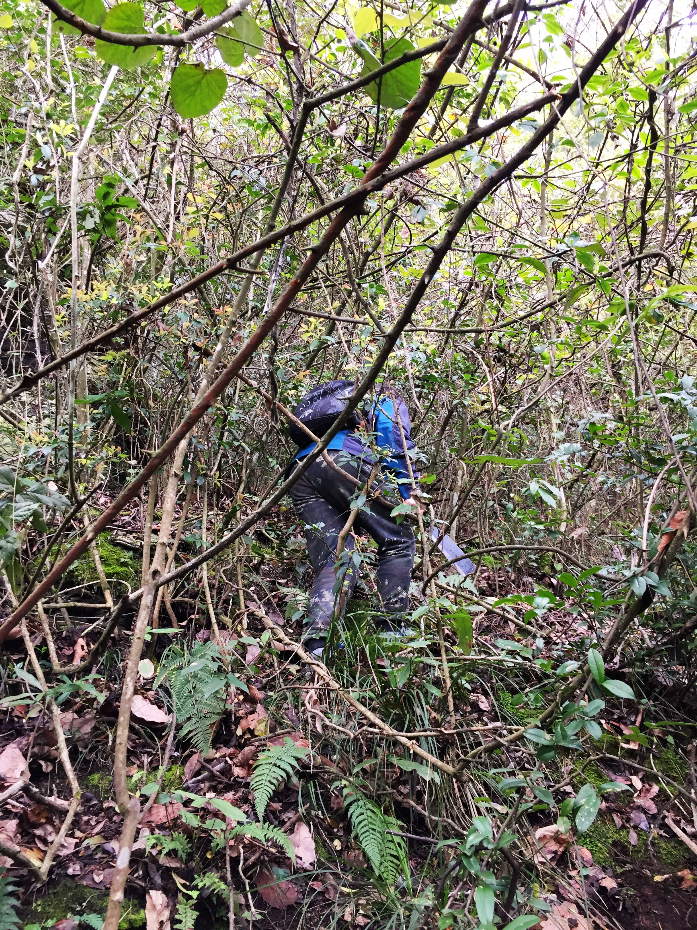 任你博·(中国)官方网站