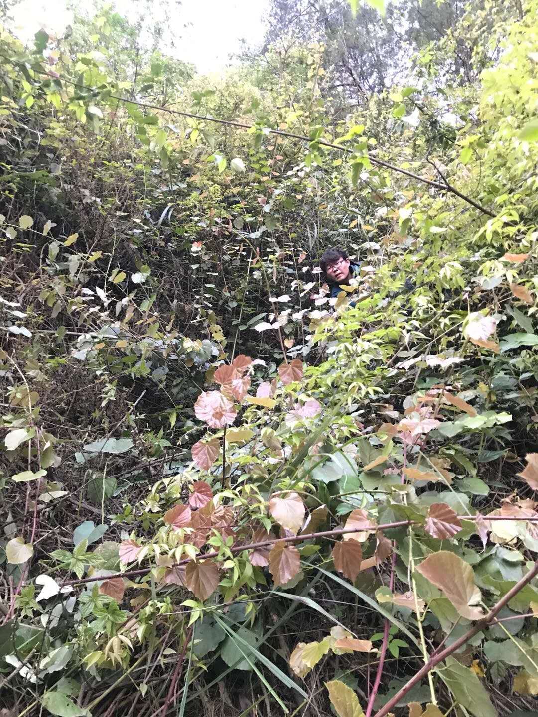 任你博·(中国)官方网站